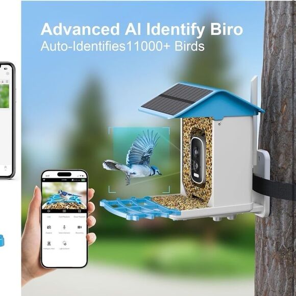 Smart Bird Feeder with Camera - Picture 2 of 3